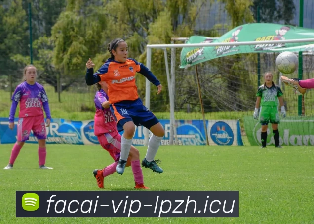 乐鱼体育注册发展历程